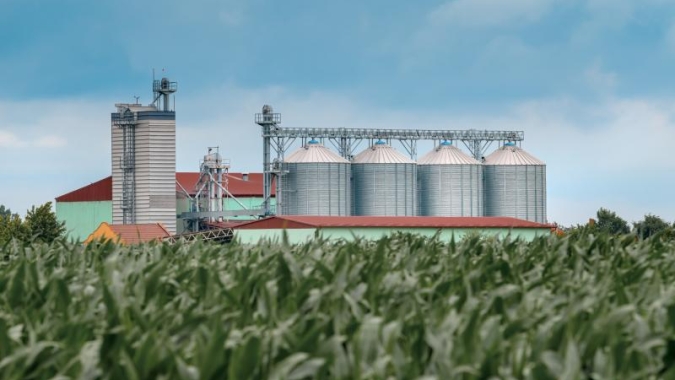 Investimento agrícola cresce 26% em Mato Grosso do Sul