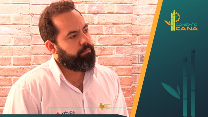 Atvos aposta no milheto como cobertura vegetal para canaviais como estratégia de conservação do solo