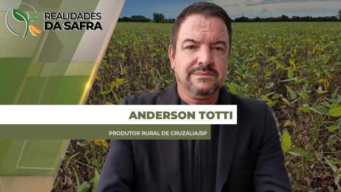 Soja plantada em outubro deve perder até 50% de produtividade em Cruzália/SP