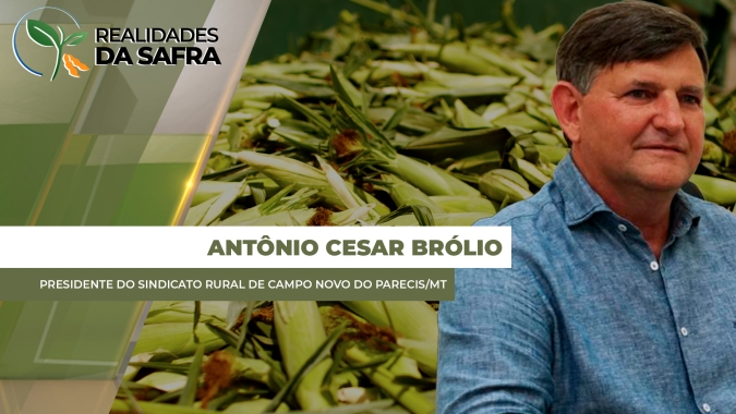 Campo Novo do Parecis/MT espera boas produtividades para milho, algodão e feijão