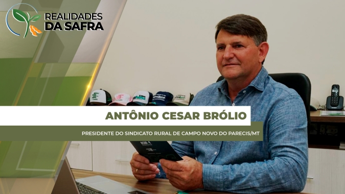 Campo Novo do Parecis/MT avança com semeadura da soja diante de clima positivo
