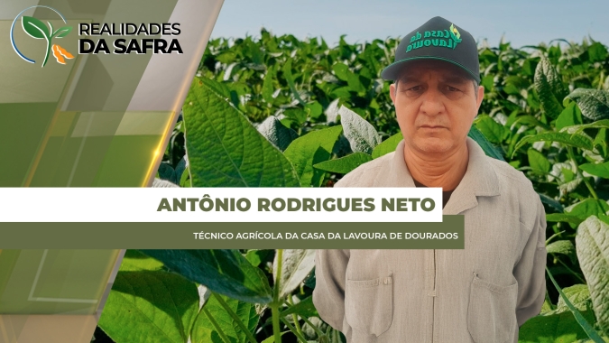 Plantio da soja avança em Laguna Carapã/MS aproveitando últimas chuvas