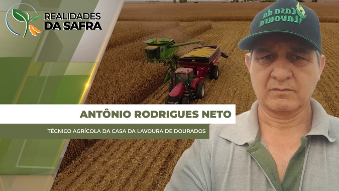 Laguna Carapã/MS avança com colheita do milho esperando produtividades de 100 sc/ha