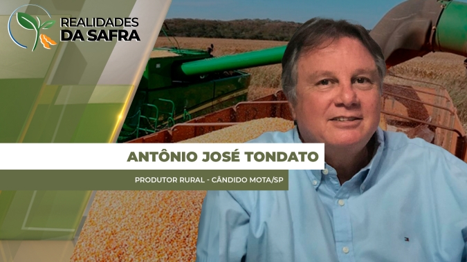 Com trabalhos atrasados, colheita do milho chega em 80% na região de Cândido Mota/SP