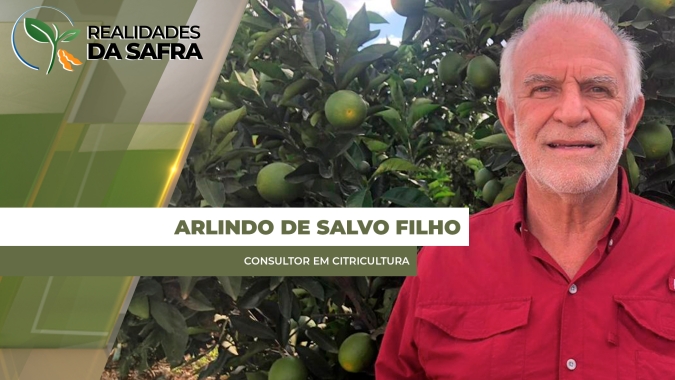 Isenção da tarifa dos EUA para suco de laranja destravou o mercado brasileiro e negócios devem voltar a acontecer