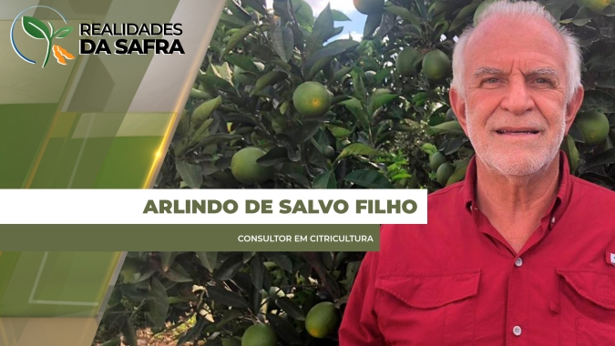 Safra de laranja se beneficia de chuva e frio e expectativa é retomar boa produção