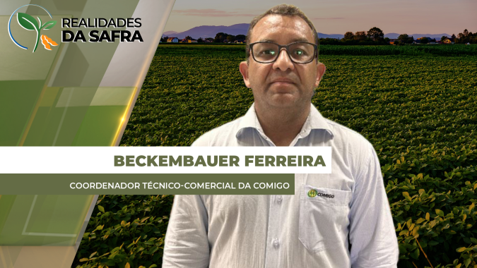 Comigo destaca clima positivo para soja e expectativa de boa produção em Rio Verde/GO
