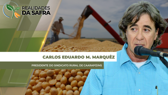 Colheita da soja passa de 50% em Caarapó/MS com perdas entre 30 e 40%