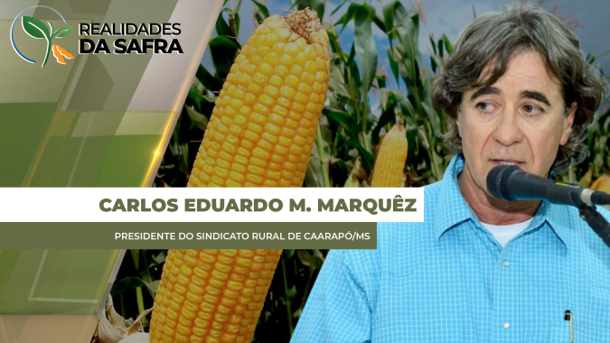 Caarapó/MS ainda aguarda novas chuvas, mas espera safra regular entre 70 e 80 sc/ha