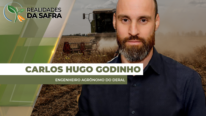 Colheita da soja começa no Paraná com atenção ao clima
