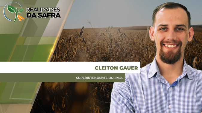 Colheita da soja chega na metade no Mato Grosso e Imea estima produtividade média de 62 sc/ha