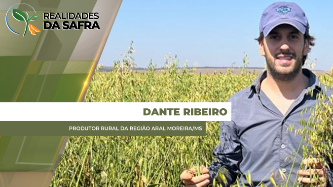 Safrinha se recupera em Aral Moreira/MS, porém, com produtores ainda atentos às condições climáticas