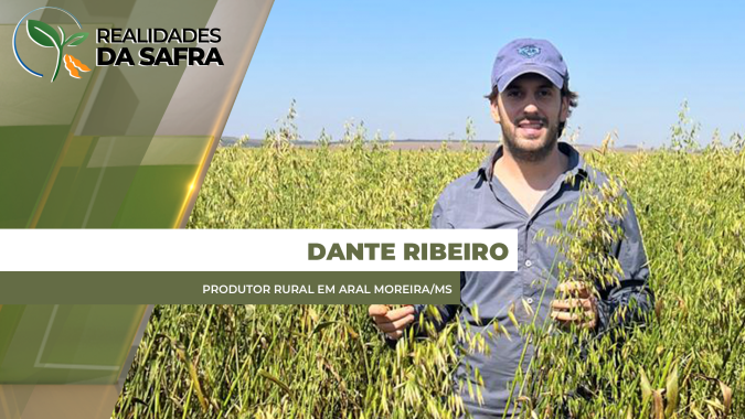 Colheita da soja chega em 60% em Aral Moreira/MS com produtividade prejudicada pela estiagem