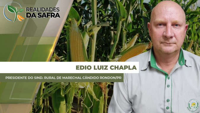 Marechal Cândido Rondon/PR já tem perdas de 30% para a segunda safra de milho