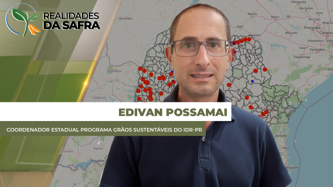 Clima seco ajudou a restringir avanço da ferrugem no Paraná