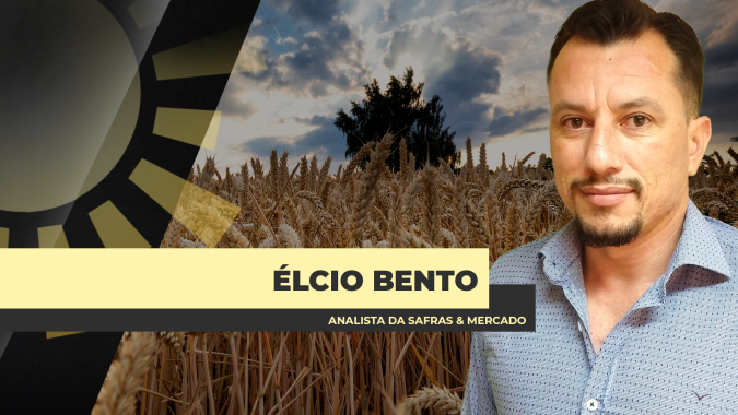 Brasil vive entressafra e bem pouco trigo disponível, mas com preços ainda pressionados