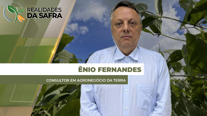 Produtor tem boas oportunidades para vender soja e milho