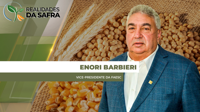 Santa Catarina espera alta produção na soja, milho, arroz e cebola