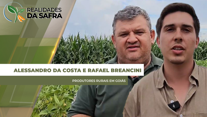 Produtores do sudoeste goiano relatam dificuldades para colher soja diante da chuva
