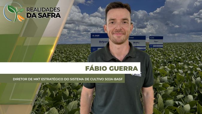 Terço final da lavoura de soja é importante para produtividade e precisa de atenção especial no controle de doenças