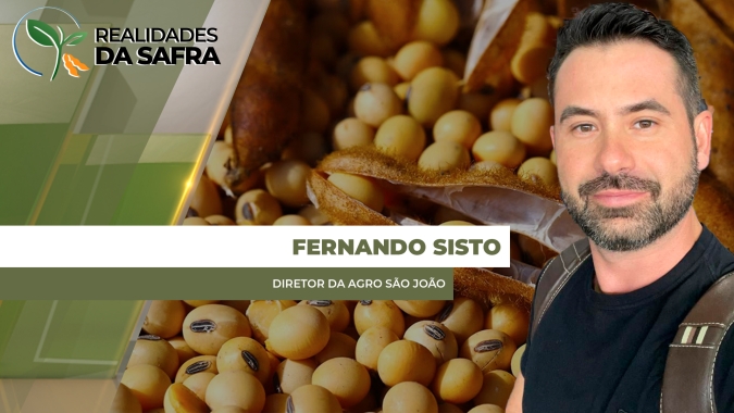 Colheita da soja em São João (PA), com produtividade satisfatória