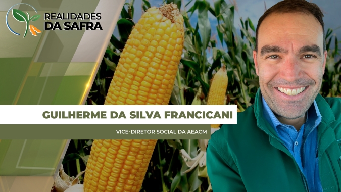 Colheita do milho avança em Campo Mourão/PR com boas produtividades registradas