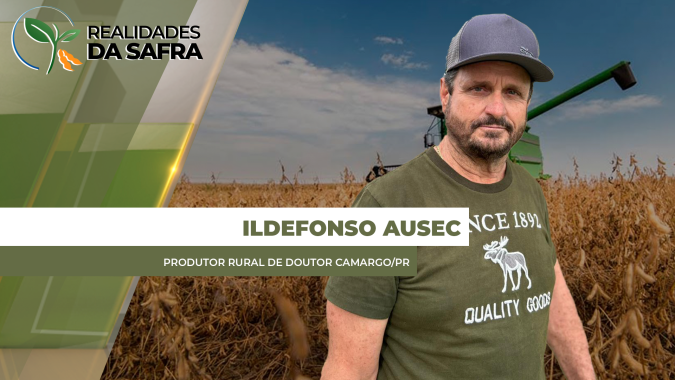 Doutor Camargo/PR tem soja bonita, mas com grãos com problemas de peso tirando produtividade