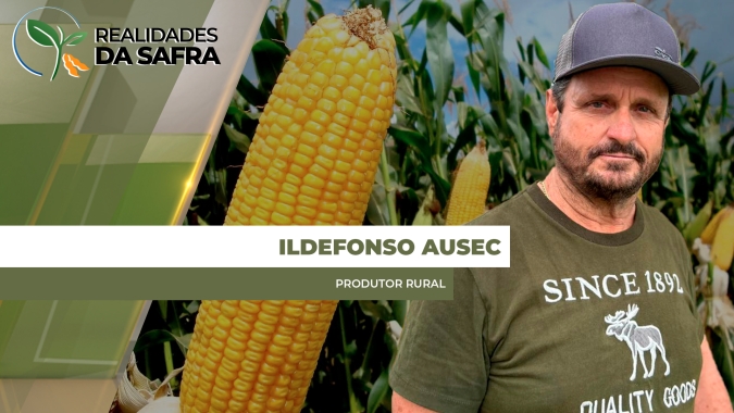 Colheita do milho começou em Doutor Camargo/PR e tem produtividades bastante variadas