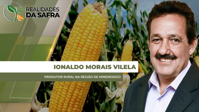 Colheita do milho ainda no começo em Mineiros/GO, mas já com ótimos resultados de produtividade
