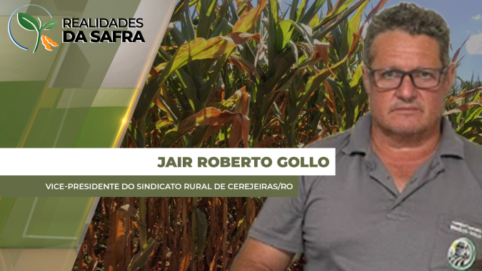 Cerejeiras/RO registra muita chuva e já tem perdas localizadas nas áreas mais baixas