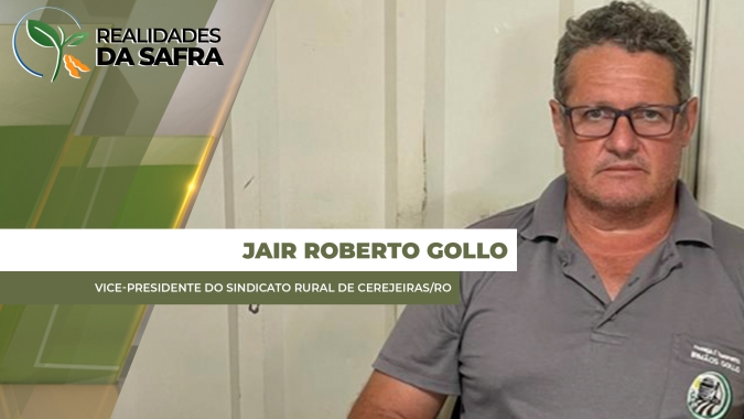 Colheita do milho em Cerejeiras/RO deve se encerrar em mais uma semana com boas produtividades