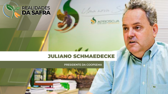 Regiões de Sidrolândia e Maracaju (MT) têm bom desenvolvimento da safrinha de milho