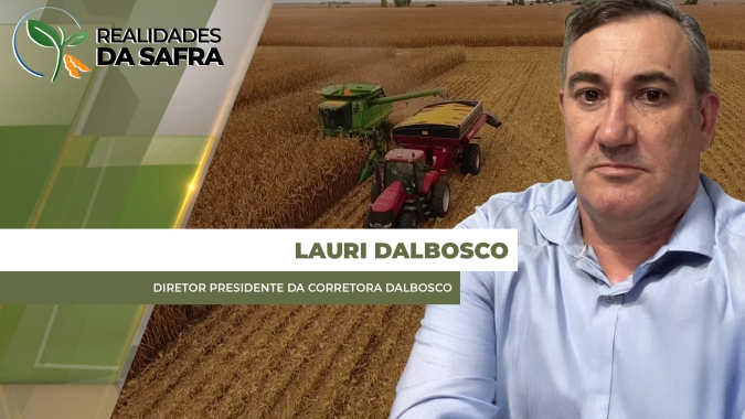 Colheita do milho chega a 70% em Chapadão do Sul/MS com boa produtividade e qualidade