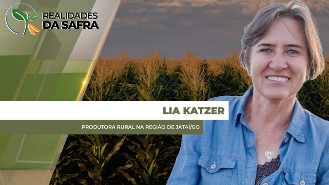 Colheita do milho se aproxima em Jataí/GO com projeção de excelentes produtividades