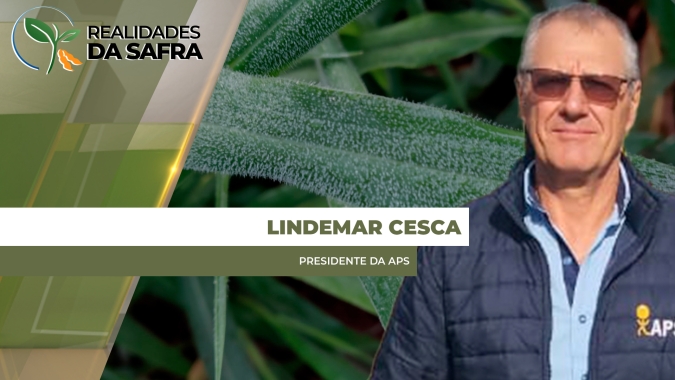 Paraguai sofre com onda de frio intenso e milho tardio pode sofrer danos