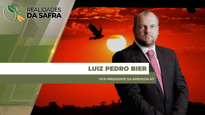Falta de chuvas no Mato Grosso já afeta lavouras e preocupa produtores de soja