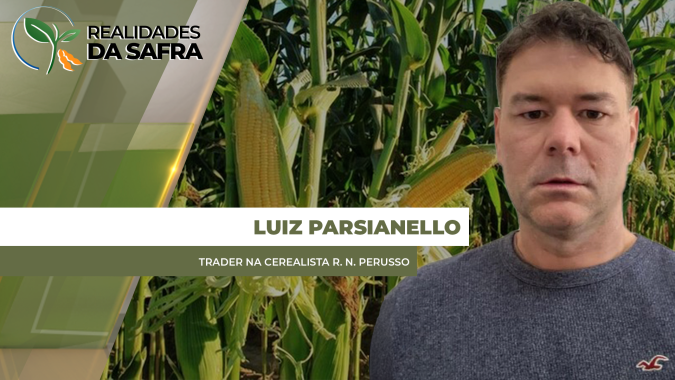 Lavouras de milho tem potencial para mais de 120 sc/ha em Pato Branco/PR