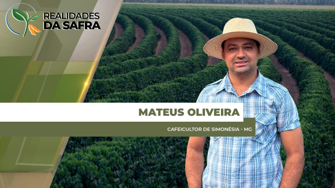 Simonésia/MG não tem chuvas e cafezais estão sofrendo com insolação e doenças