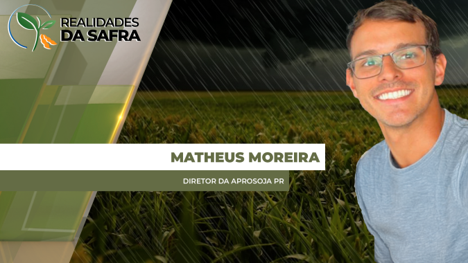 Chuvas de abril recuperaram milhos plantados após fevereiro no Paraná