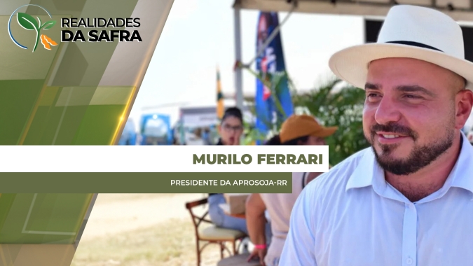 Chuva ajuda desenvolvimento da soja em Roraima que pode superar produção da safra passada
