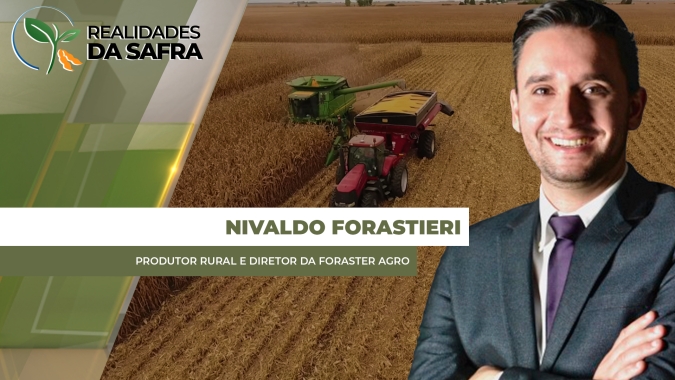 Colheita do milho começando em Itambé/PR com projeção retomar boa produção