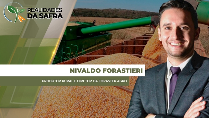 Colheita do milho na reta final com alguns resultados impactados por estiagem, geada e ventos em Itambé/PR