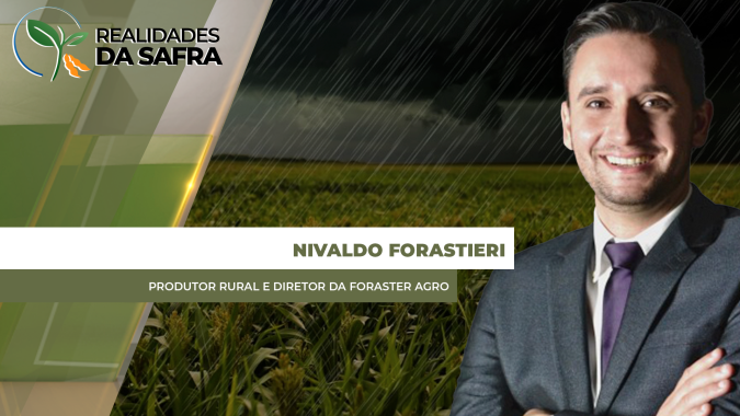 Após fechar safra de soja com média de 42 sc/ha, Itambé/PR espera novas chuvas para o milho