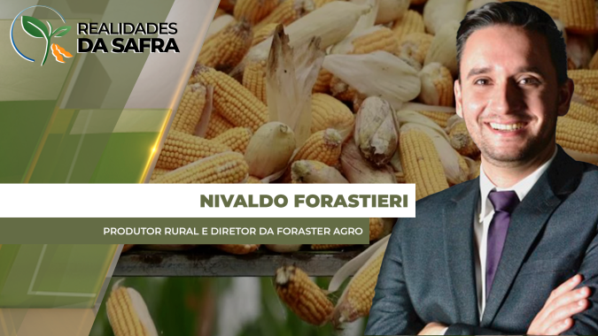 Itambé/PR passou por 25 dias de estiagem em março, o que tirou 10% do potencial produtivo do milho