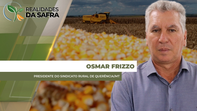 Colheita do milho passa de 40% em Querência/MT e produtividade média deve ser de 120 sc/ha