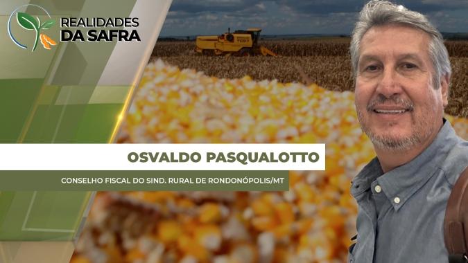 Colheita do milho avança com produtividades boas, mas abaixo do esperado
