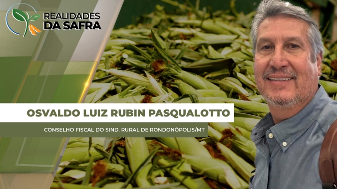Colheita do milho avança em Rondonópolis/MT com boa projeção de produtividade