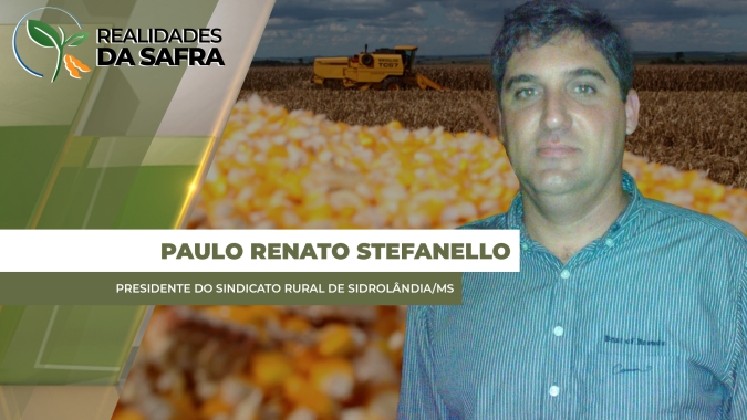 Com o avanço da colheita, preços do milho recuam até R$ 10,00/sc em Sidrolândia/MS
