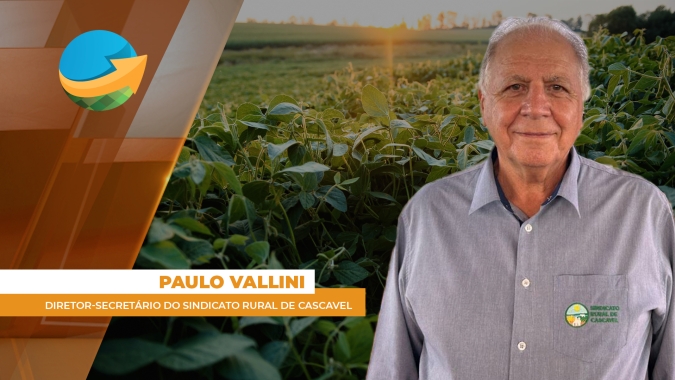 Soja plantada no tarde deve ser a mais prejudicada pelo clima em Cascavel (PR)