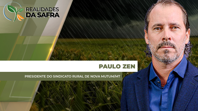 Chuva ajuda desenvolvimento do milho em Nova Mutum/MT, mas produtores se preocupam com lagartas